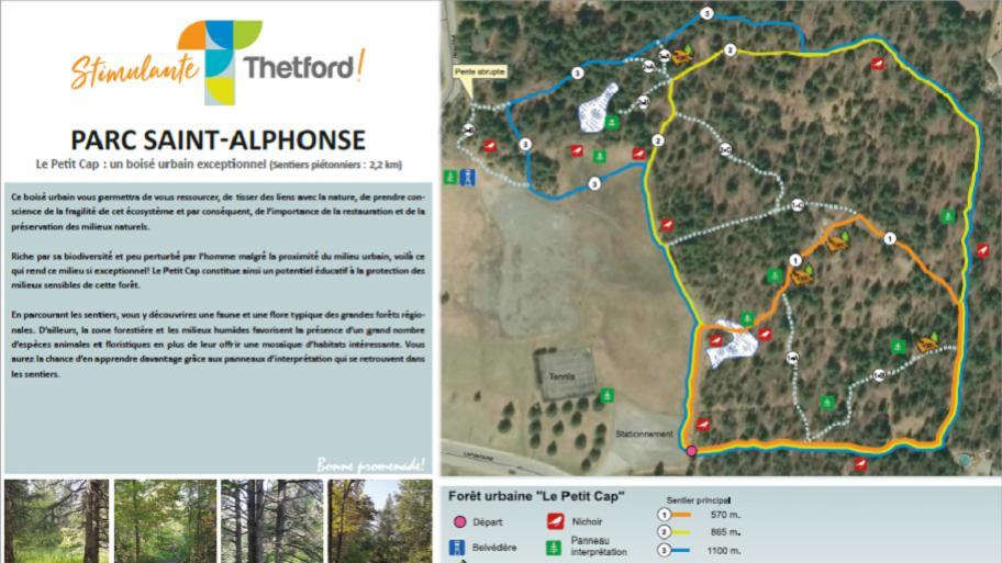 Sentiers urbains du parc SaintAlphonse Randonnée pédestre à Thetford